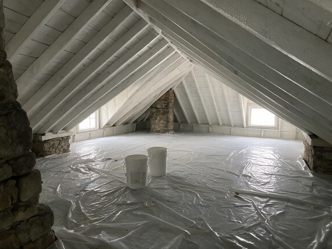 Attic Mold Remediation
